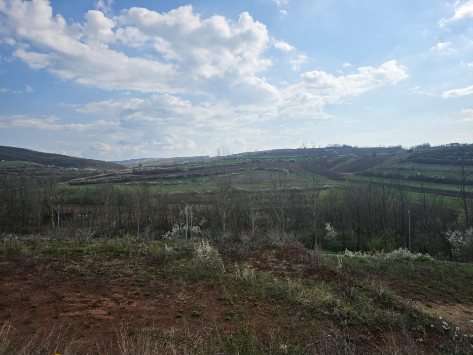 Teren intravilan in supr. de 797 mp., Teleac, com. Ciugud, toate utilitatile.