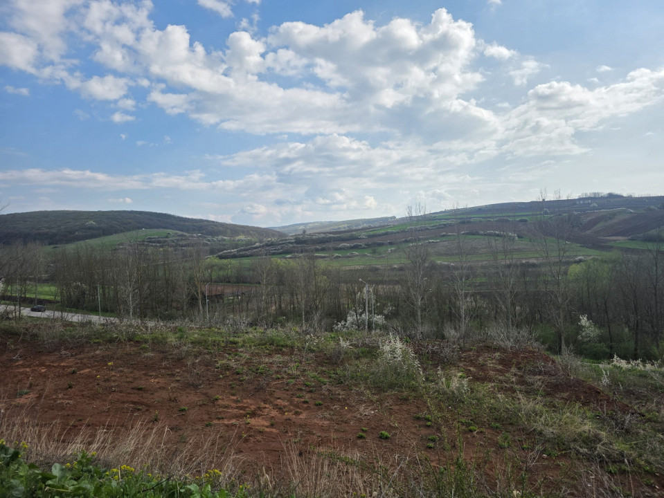 Teren intravilan in supr. de 797 mp., Teleac, com. Ciugud, toate utilitatile.