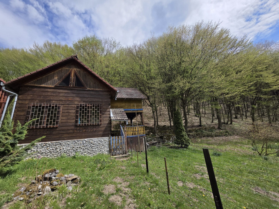 Cabana Iezer Ighiel – panoramă superbă, liniște și potențial de investiție