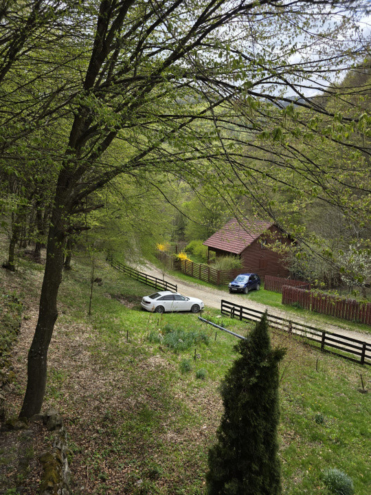 Cabana Iezer Ighiel – panoramă superbă, liniște și potențial de investiție