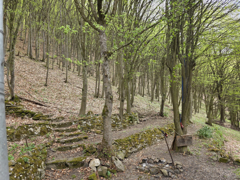 Cabana Iezer Ighiel – panoramă superbă, liniște și potențial de investiție