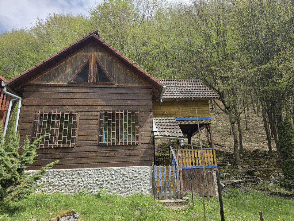 Cabana Iezer Ighiel – panoramă superbă, liniște și potențial de investiție