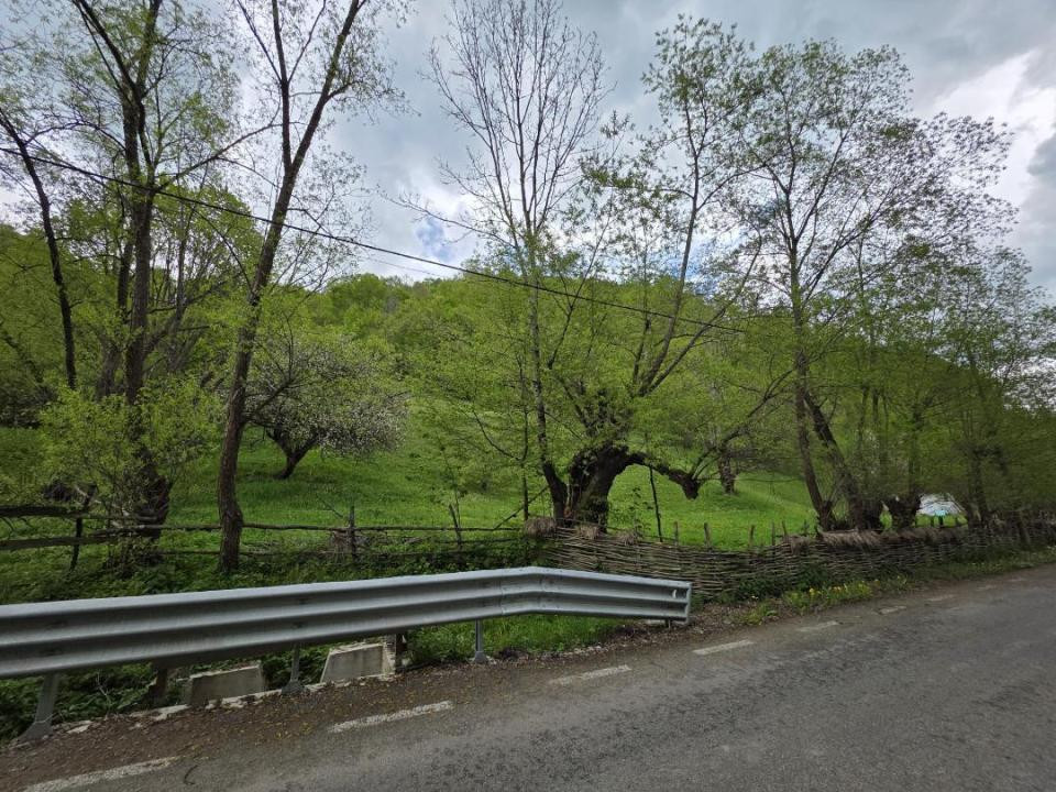 Teren extravilan în suprafata de 3.100 mp. situat pe Transapuseana-Ponor