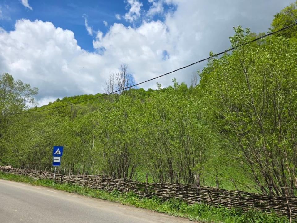 Teren extravilan în suprafata de 3.100 mp. situat pe Transapuseana-Ponor