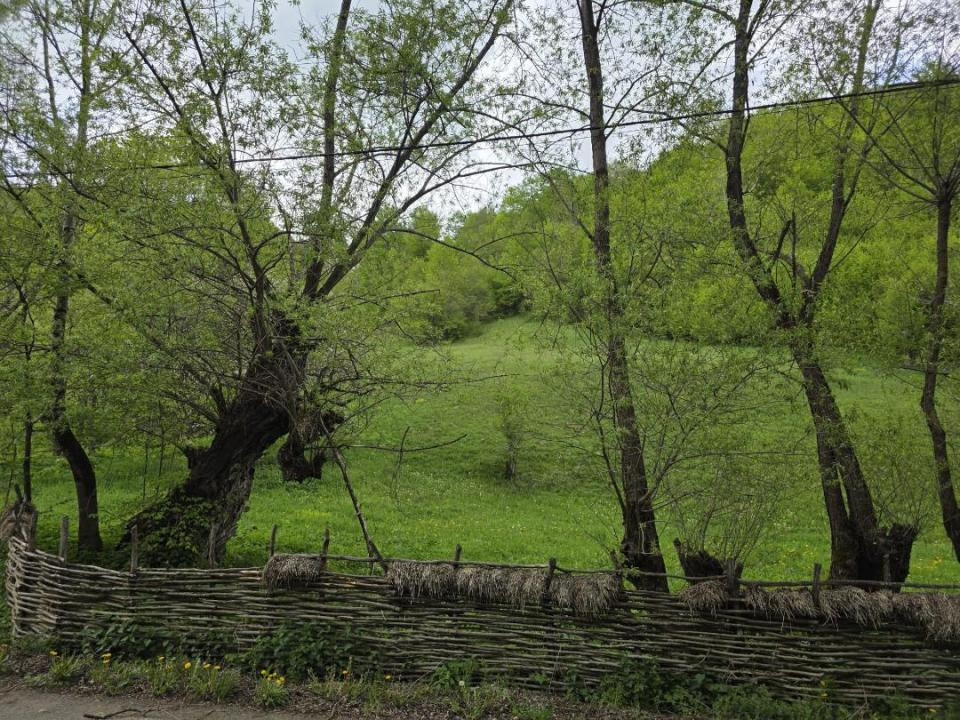 Teren extravilan în suprafata de 3.100 mp. situat pe Transapuseana-Ponor