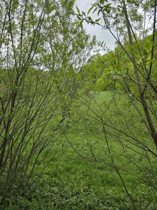 Teren extravilan în suprafata de 3.100 mp. situat pe Transapuseana-Ponor