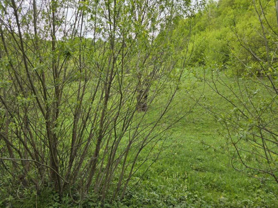 Teren extravilan în suprafata de 3.100 mp. situat pe Transapuseana-Ponor