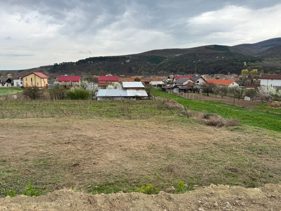 Teren intravilan de vanzare- Sard, la doar 7 km de Alba Iulia.