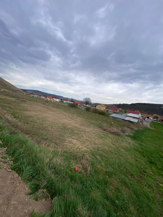 Teren intravilan de vanzare- Sard, la doar 7 km de Alba Iulia.