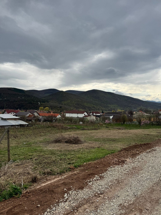 Teren intravilan de vanzare- Sard, la doar 7 km de Alba Iulia.