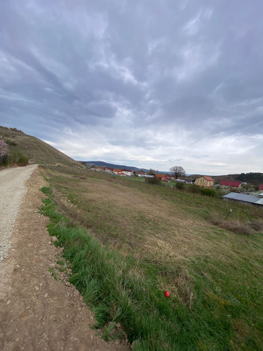 Teren intravilan de vanzare- Sard, la doar 7 km de Alba Iulia.