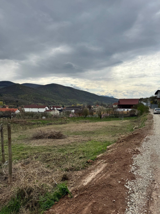 Teren intravilan de vanzare- Sard, la doar 7 km de Alba Iulia.