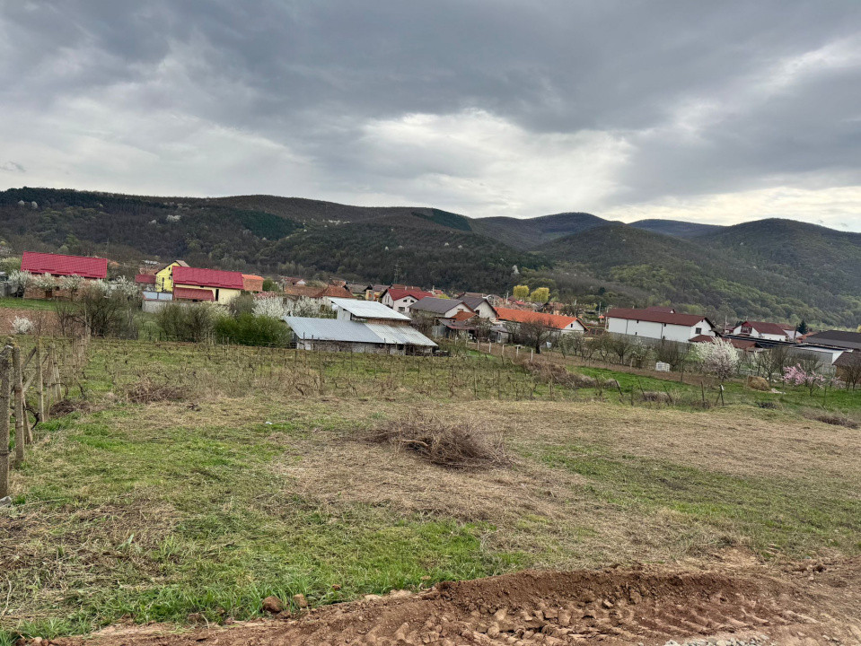 Teren intravilan de vanzare- Sard, la doar 7 km de Alba Iulia.