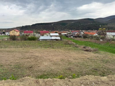 Teren intravilan de vanzare- Sard, la doar 7 km de Alba Iulia.