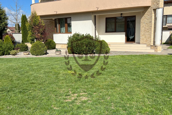 Recomandare imagine: Casa individuala de tip P+1 in supr. de 300 mp. si teren 883 mp., Cetate, zona Lidl.
